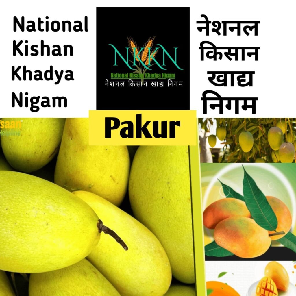 NKKN: National Kisaan Khadya Nigam Processing Unit in Pakur District of JHARKHAND